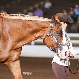 Meet your Posher, Quincy